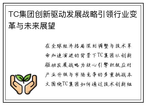 TC集团创新驱动发展战略引领行业变革与未来展望